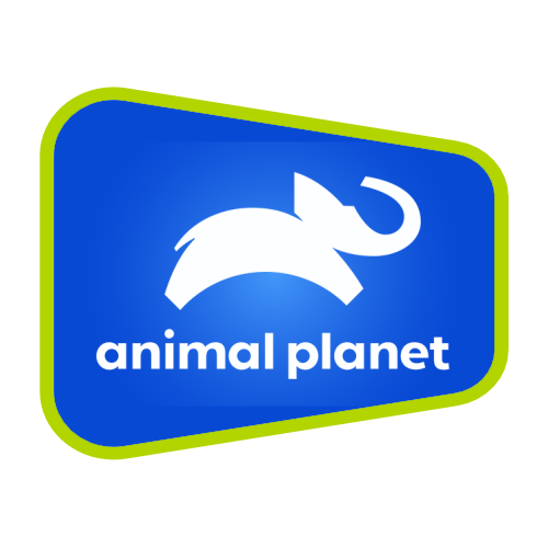 Animal Planet
